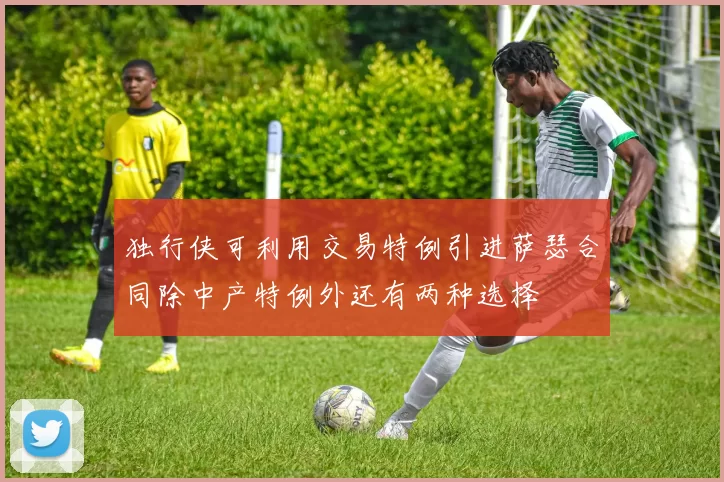 独行侠可利用交易特例引进萨瑟合同除中产特例外还有两种选择